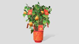 Kumquat Tree chinatown, culture, chinese, chinesenewyear, festivals