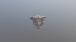Medusa photogrammetry-heritage-patrimonio-online