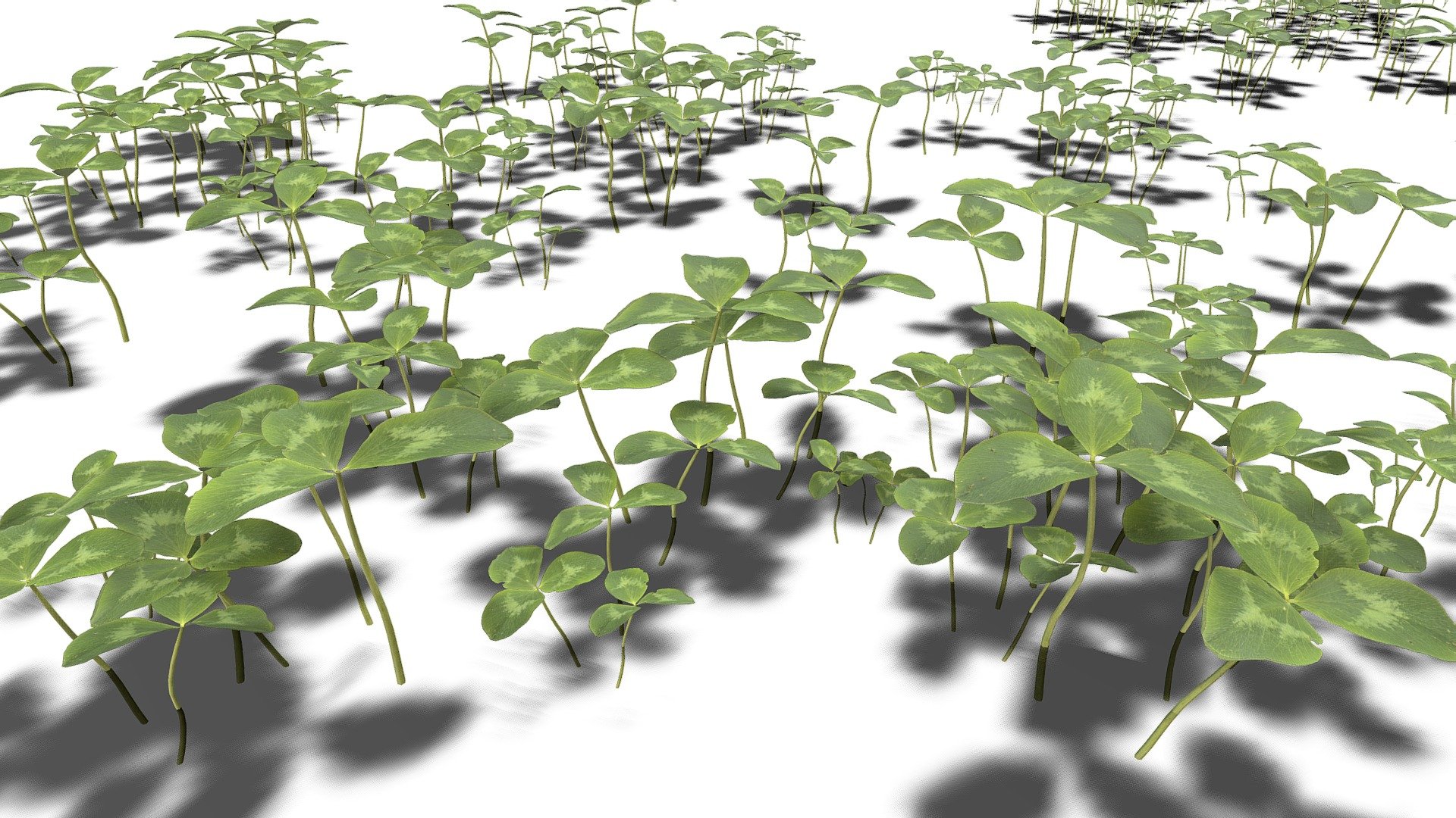 More Nature models available in our Nature collection

Many more models of all kinds available in our main Collections - Clovers - Download Free 3D model by Studio Lab (@studiolab.dev) 3d model