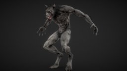 Howling werewolf, wolfman, lican, darkfantasy, creature, monster, fantasy, wolf, horror