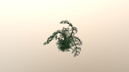 fern substancepainter, substance