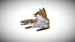 Fox Photogrammetry 3dsmax, 3dsmaxpublisher