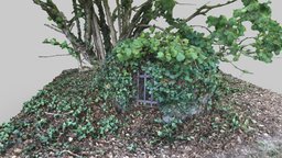 Fox And Hounds Well photogrammetry