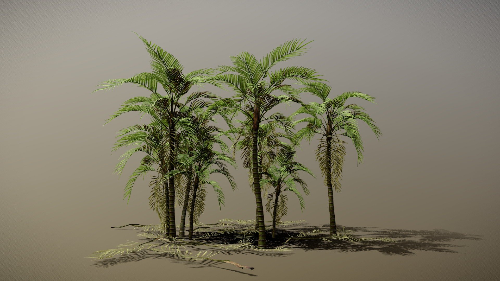 Details

Game Ready Asset with LODs

7 Variations

Textures are 4K resolution (Albedo .tif with alpha channel)

if you need more information about how my LODs works visit my Instagram account! https://www.instagram.com/seedmesh_studio/ 

Contact me for any issue or questions! https://www.artstation.com/bpaul/profile - Tall Palm - Buy Royalty Free 3D model by Paul (@nathan.d1563) 3d model