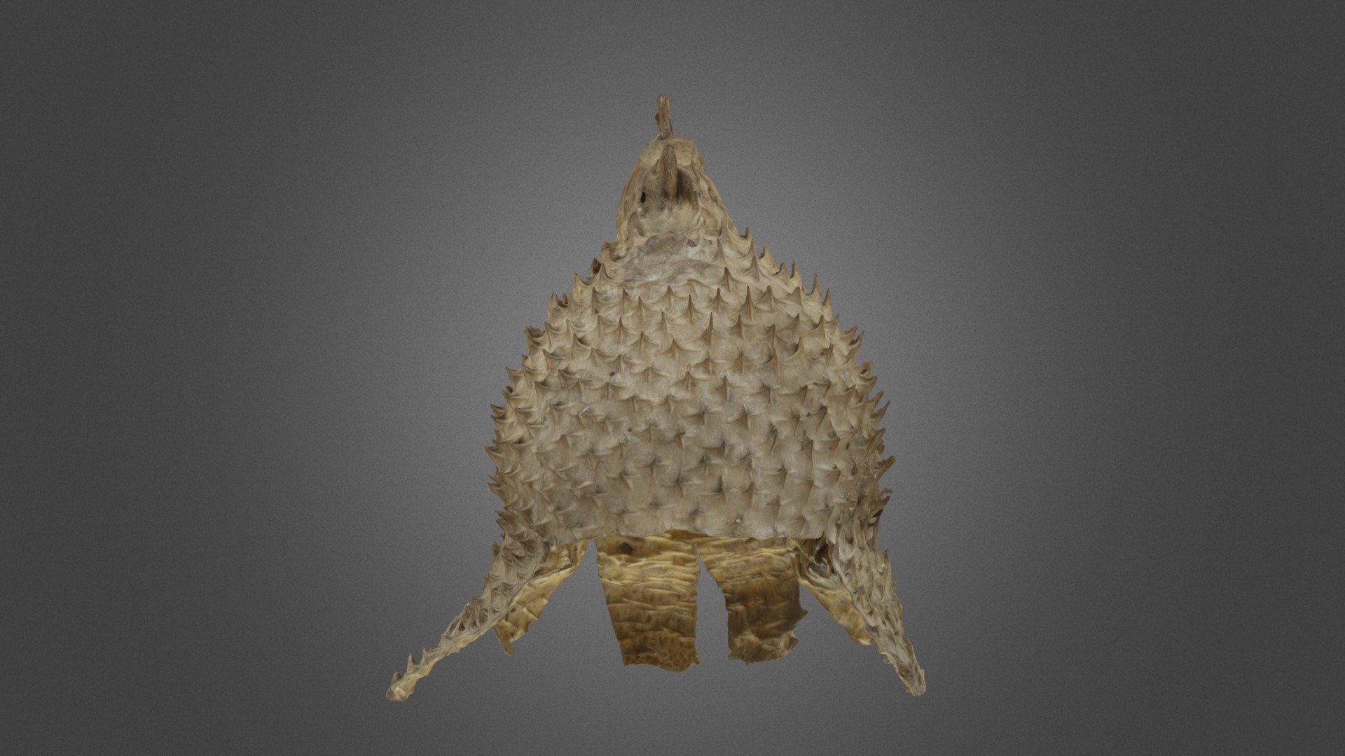 9000.10.0273
Porcupine fish helmet from Kiribati, Oceania.

Oceanien
Gilbertöarna; Mikronesien; Micronesia
Hjälm, taggfiskhjälm.

Kiribati - Porcupine fish helmet - Download Free 3D model by Världskulturmuseerna (@varldskulturmuseerna) 3d model