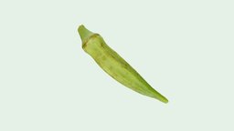 Okra metashape, agisoft