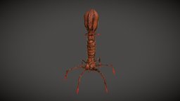 Bacteriophage Virus [4K] microscope, cell, virus, deadly, germ, bacteriophage, microorganism, bacteriology, virusology, virus-structure