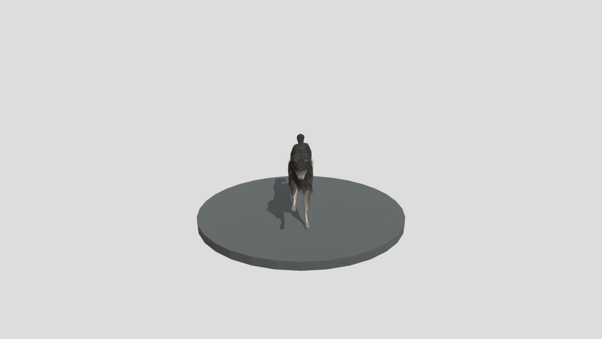 wold blander 3d model - Wolf- Blender - Download Free 3D model by Rohitverma960205 3d model