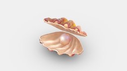 Cartoon pearl and shell fish, lake, shell, ocean, seashell, water, nature, pearl, scallop, lowpolymodel, mussel, animal, sea