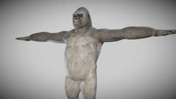 Rigged Goreilla animal, rigged, goriella