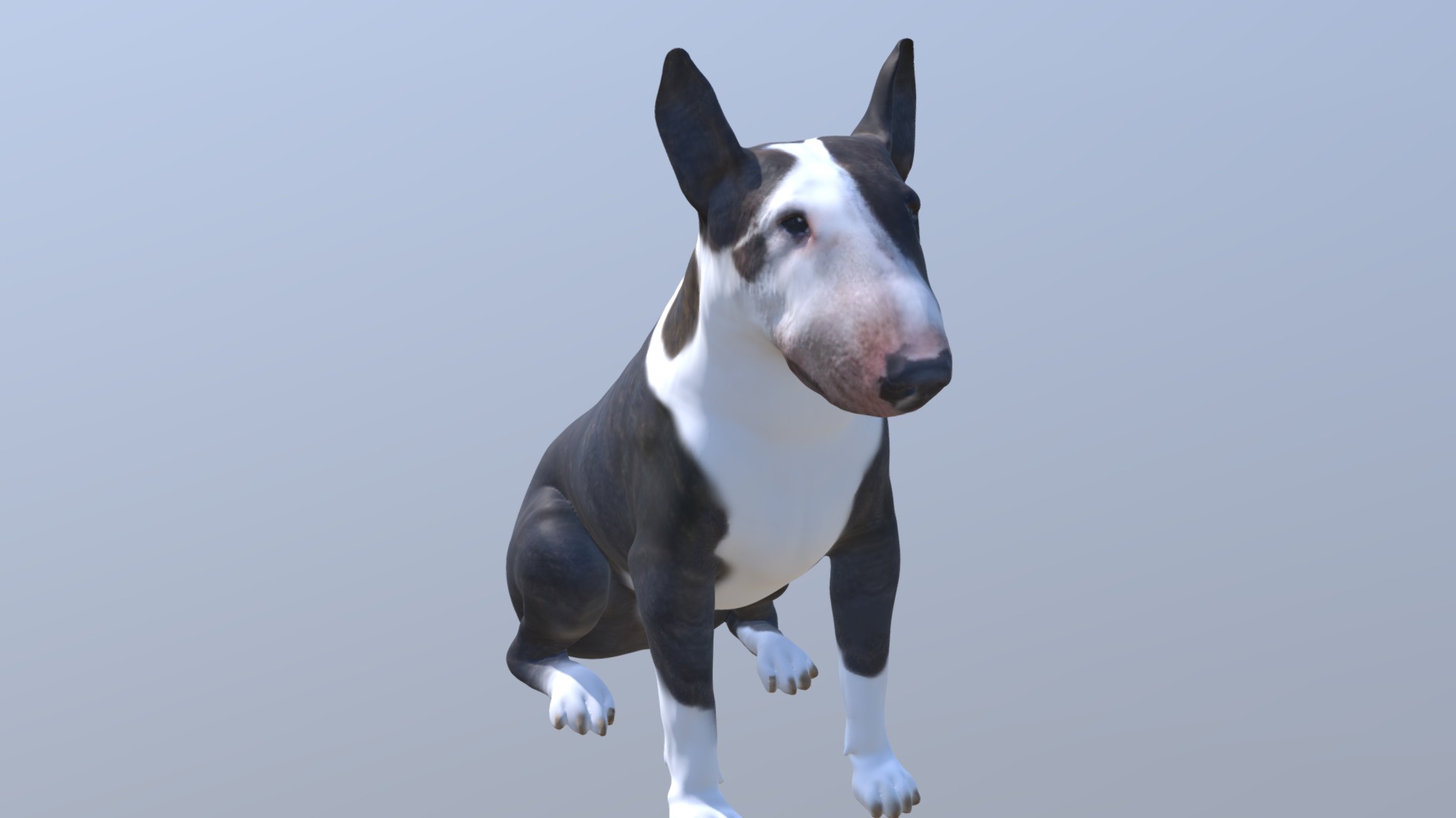 1811004- Luna- Bull Terrier - 3D model by Arty Lobster - Pet Sculptures Made Simple (@artylobster) 3d model