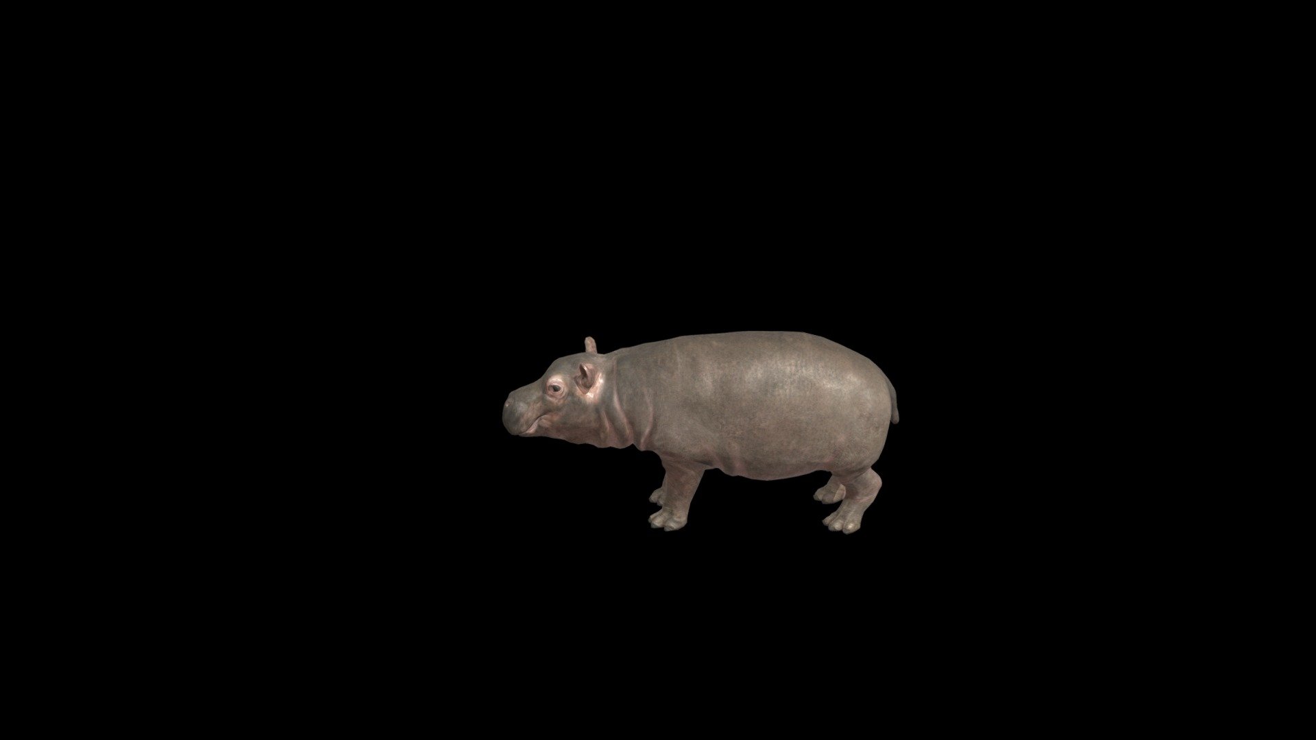 Hippo_Teen - 3D model by S-Club (@saad54) 3d model