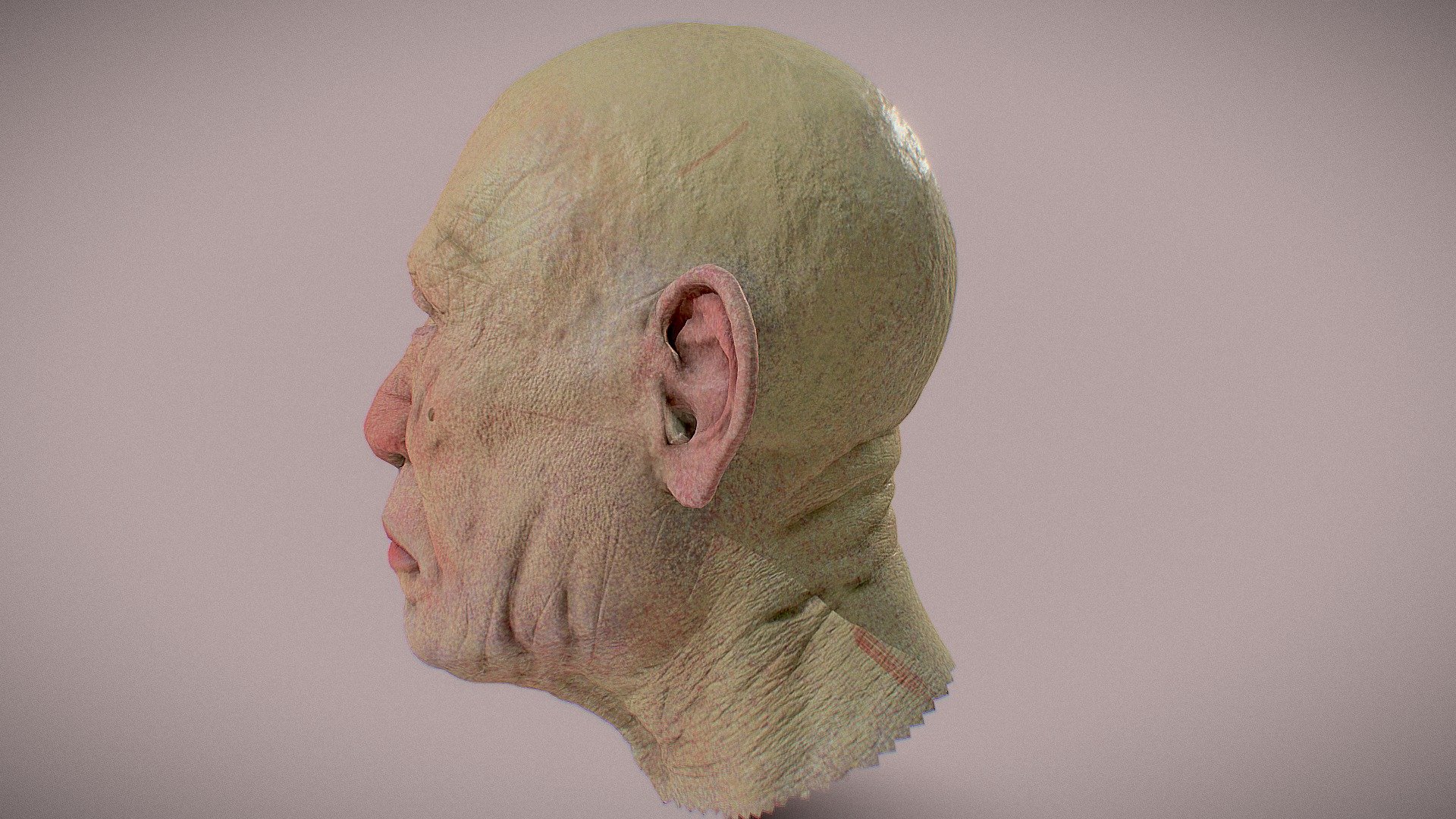 Just a quick practice to try and get better at detailing. Done in Zbrush Blender Photoshop And substance painter 3d model