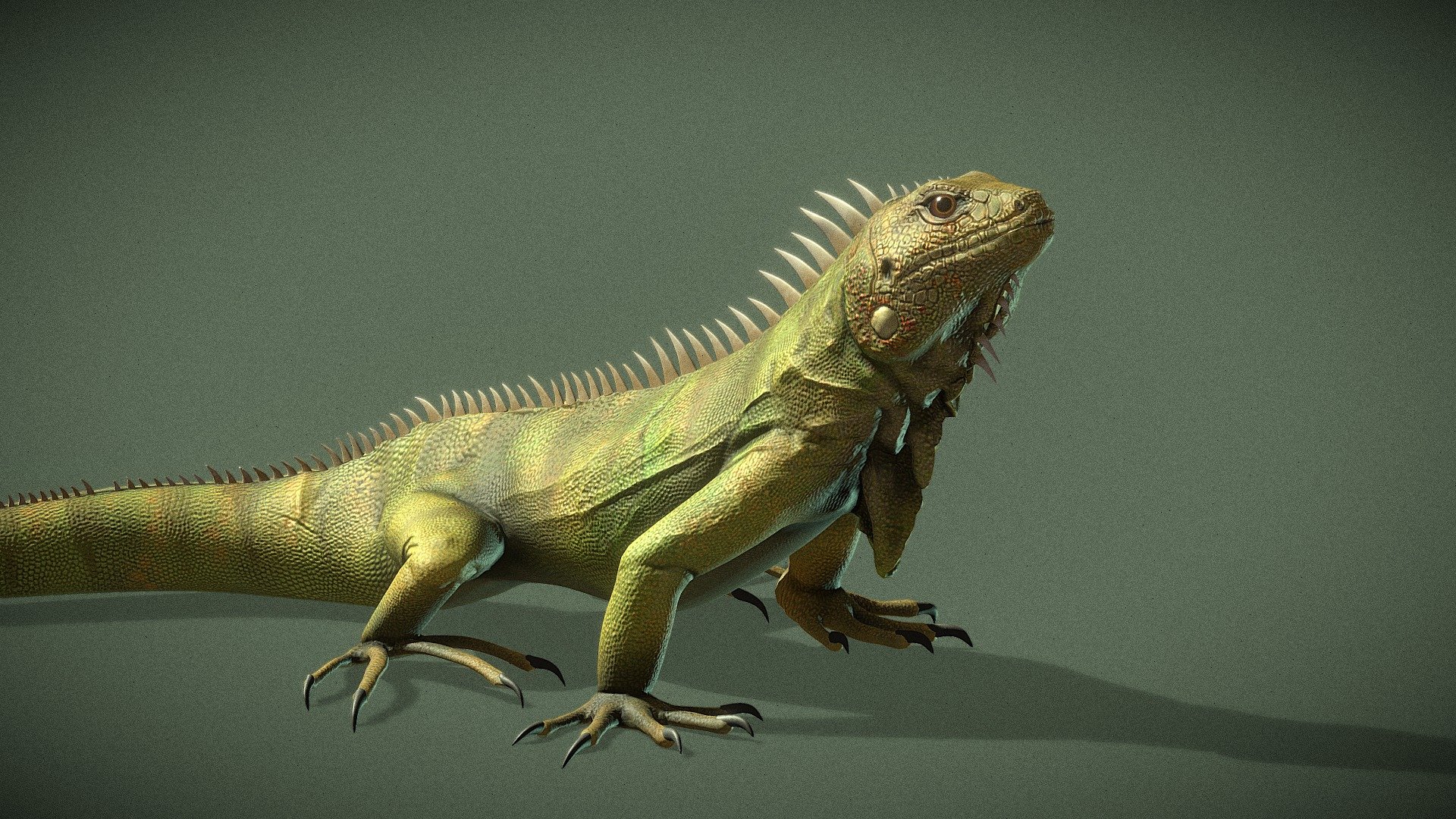 Sculpted and painted in Zbrush 3d model