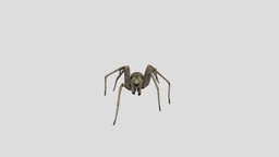 Spider! insect, spider, bug, arachnid, unrealengine4, monster, gameready